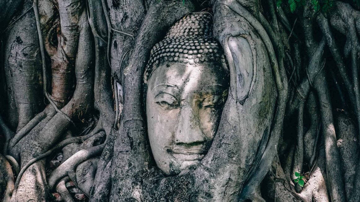 Wat is het Boeddhisme? | Buddho.org