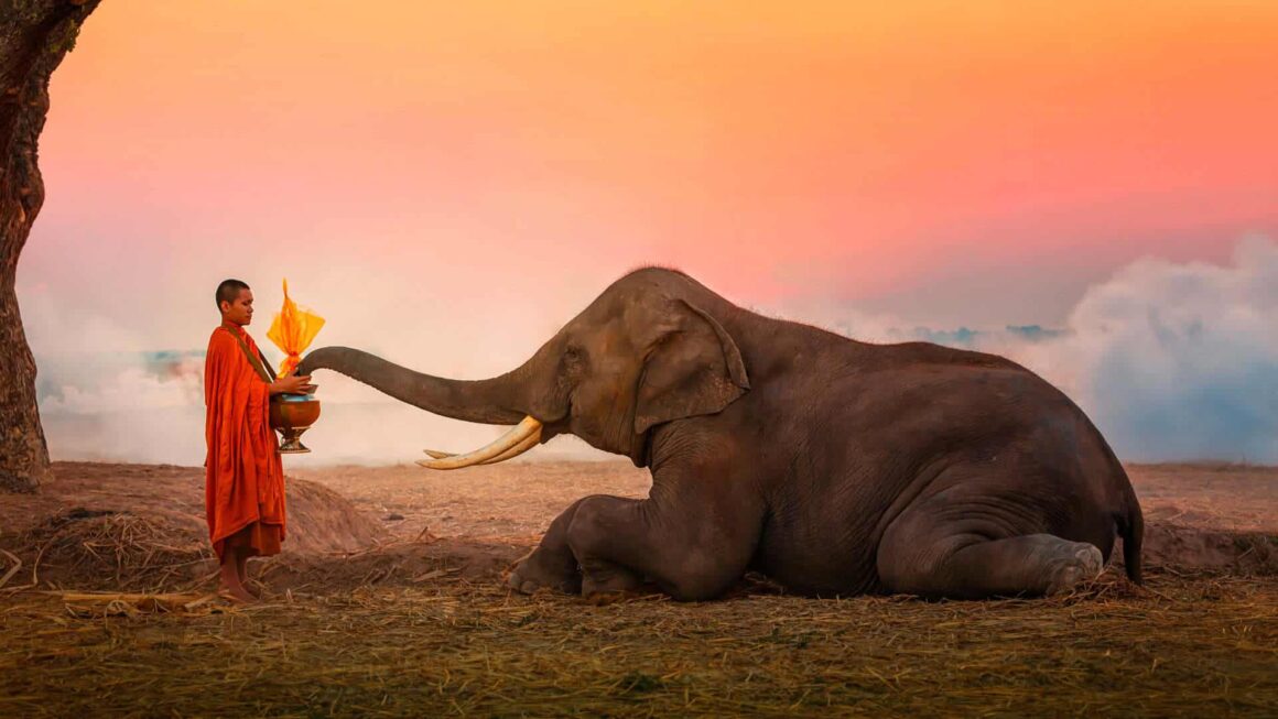 The Elimination of Anger | Buddho.org