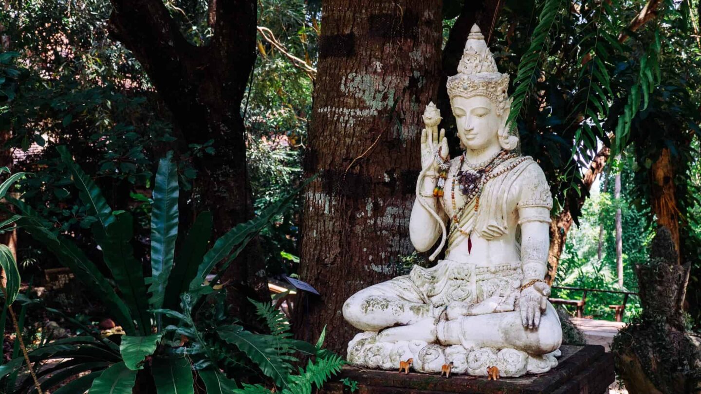 Arahants, Bodhisattvas, and Buddhas | Buddho.org